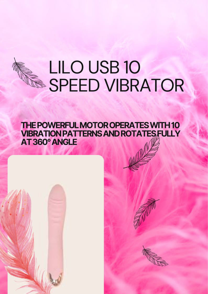 Lilo USB Speed Vibrator